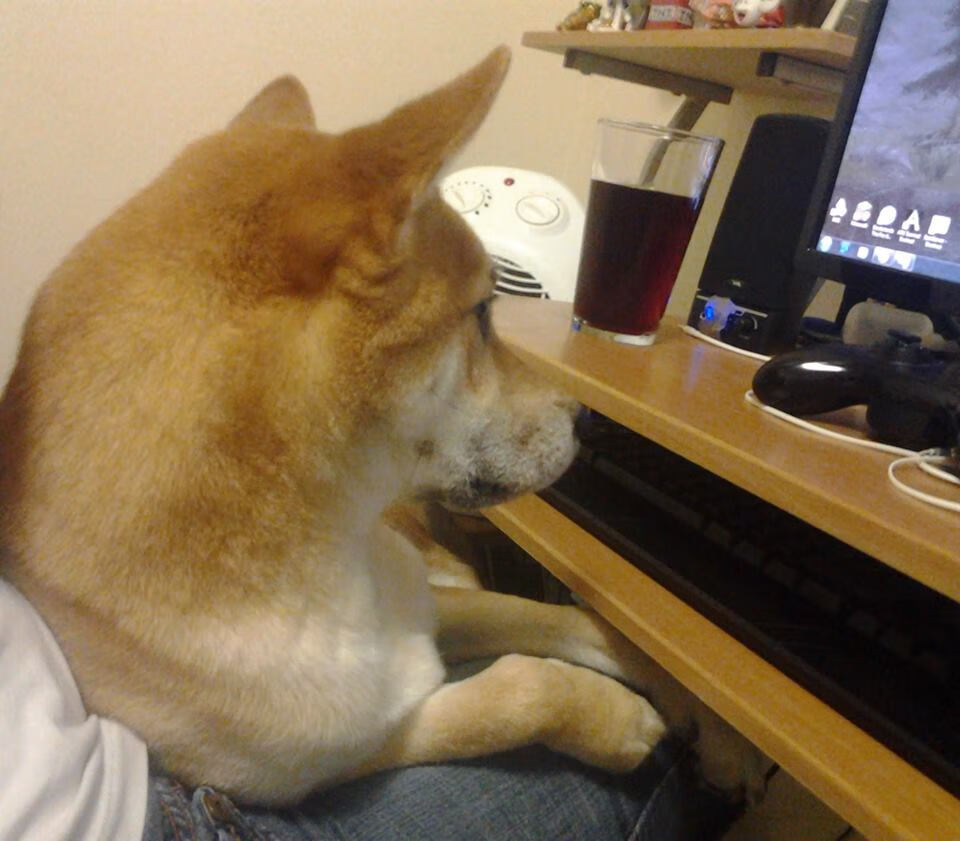 Kaiyun(中国)开云-_荒野越野摩托：在未知之地追逐速度_，荒野摩托游戏