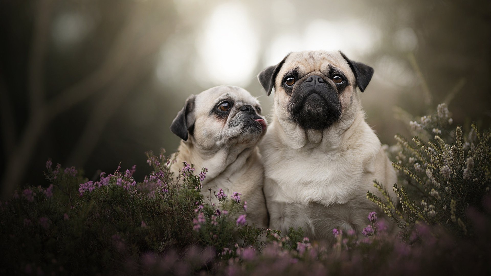 开云电竞-“青少年足球技能竞赛火热进行，发现潜力新星”，青少年足球比赛规则