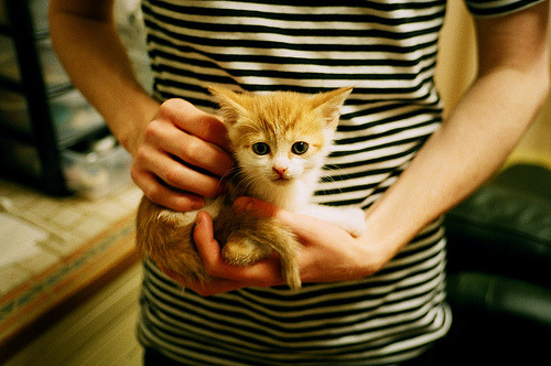 开云体育官网登入-中国女篮国际比赛战绩显著提升，中国女篮国际比赛最好成绩