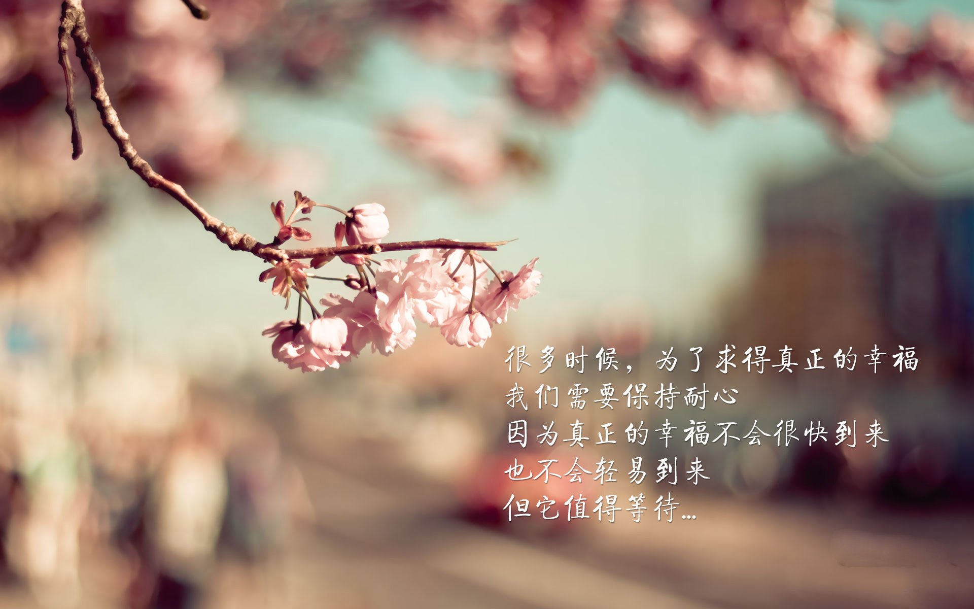 产业链整合助推足球市场繁荣发展,足球相关产业