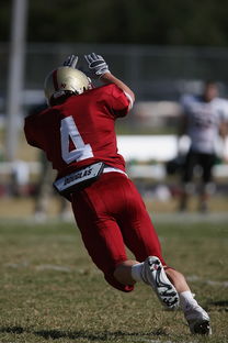 开云网页版登录入口-足球青训进入社区模式拓展非专业球员参与渠道，足球俱乐部青训什么条件